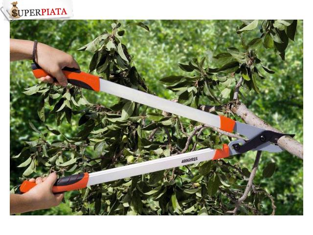 Domeniul forestier , sortat crengi brad 1500 Euro 