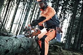 Forestier Germania