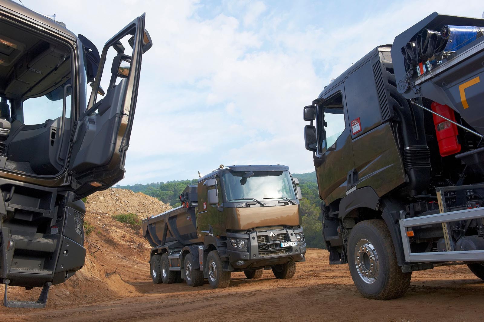 Conducator camion Germania