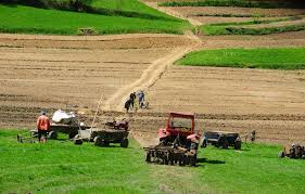 Agricultura Germania, sef echipa