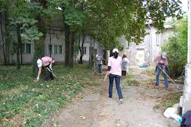 Gradinarit Germania