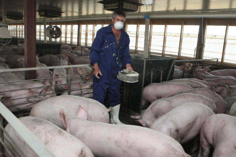 Animale, 1500 euro Germania