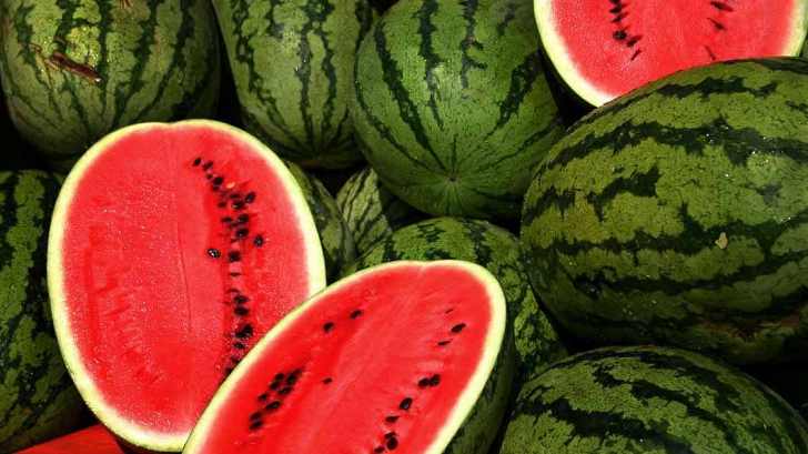 Munca in agricultura 1500 euro, Germania