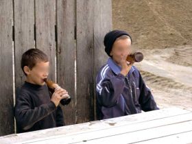 Tulburelul ia mintile taranilor vasluieni: doua crime, un viol si mai multe accidente de circulatie