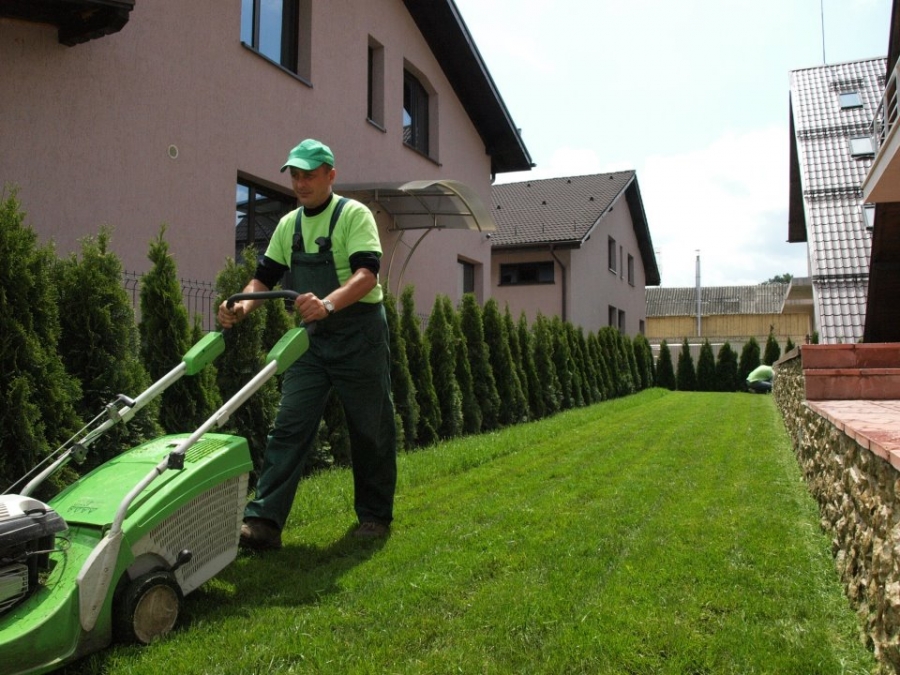 Muncitori ingrijire spatii verzi pentru Germania, 1300 euro