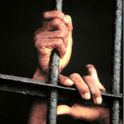 Un roman a fost condamnat la 27 de ani de inchisoare in SUA, cea mai mare pedeapsa pentru frauda pe internet