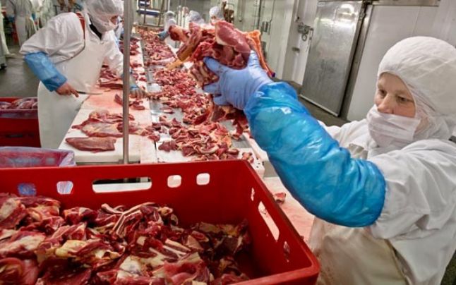 Abator din Germania angajeaza