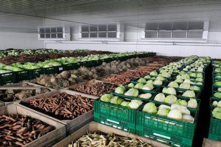 Sortare legume in hale Germania