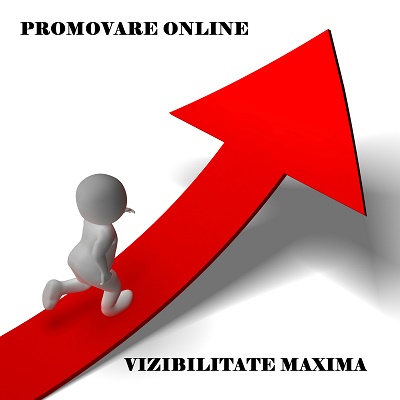 Realizare site si promovare
