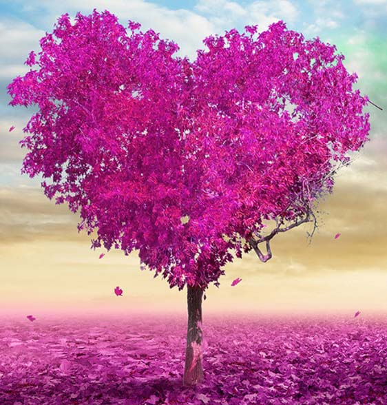 Consiliere psihologica