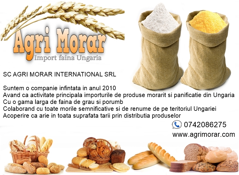 vindem faina de import ungaria