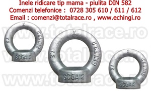 Inel mama DIN 582  M14 echingi.ro