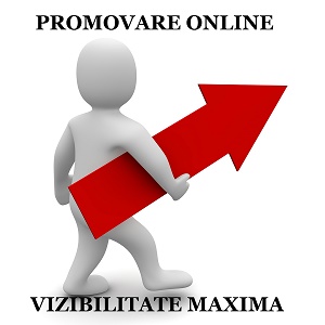 Promovare online, vizibilitate maxima