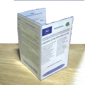 VINDEM COPERTA CERTIFICAT DE INMATRICULARE / TALON NOU