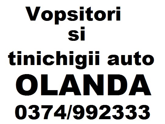 Vopsitori si tinichigii auto Olanda