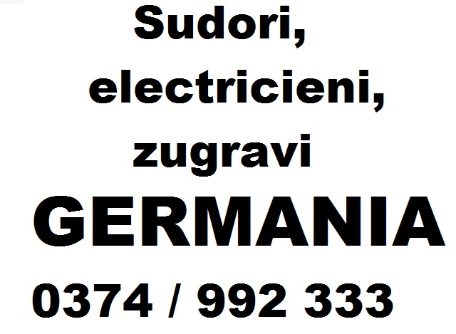 Sudori, electricieni, zugravi Germania