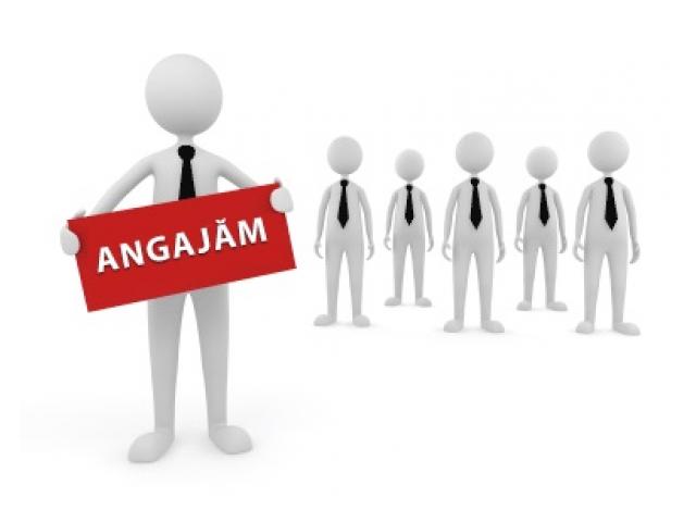 Angajam Sofer Livrator Categoria B Italia-alba iulia