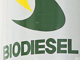 Carom Onesti va incepe anul viitor productia de biodiesel