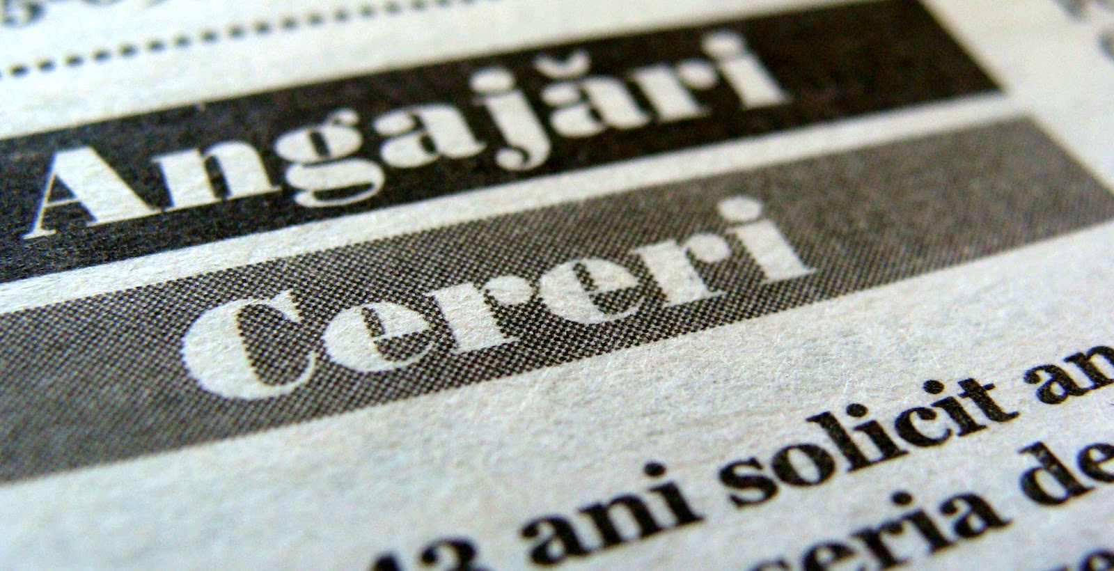 Crescatori Porumbei Germania -oradea