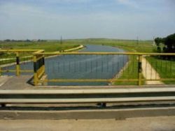 Taximetrist in stare de soc, dupa ce o clienta s-a aruncat de pe pod!