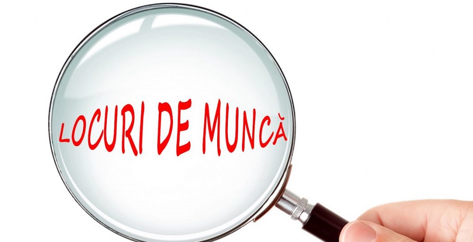 Angajam Sofer Cat.B Curierat In Germania-recrutare cluj