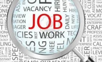 Spalator vase in Germania-recrutare cluj