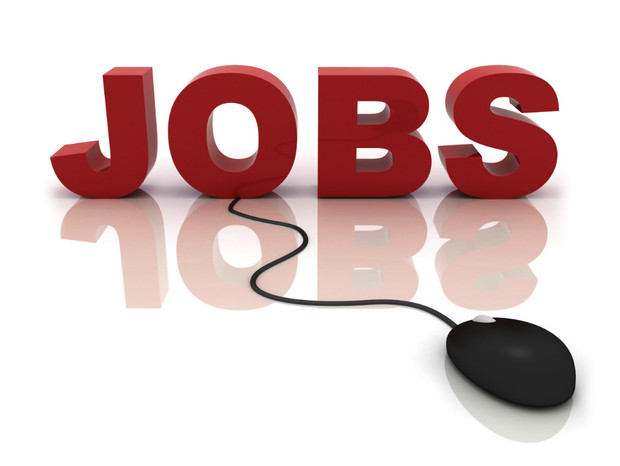 Angajam Sofer Categoria B+E -recrutare sibiu