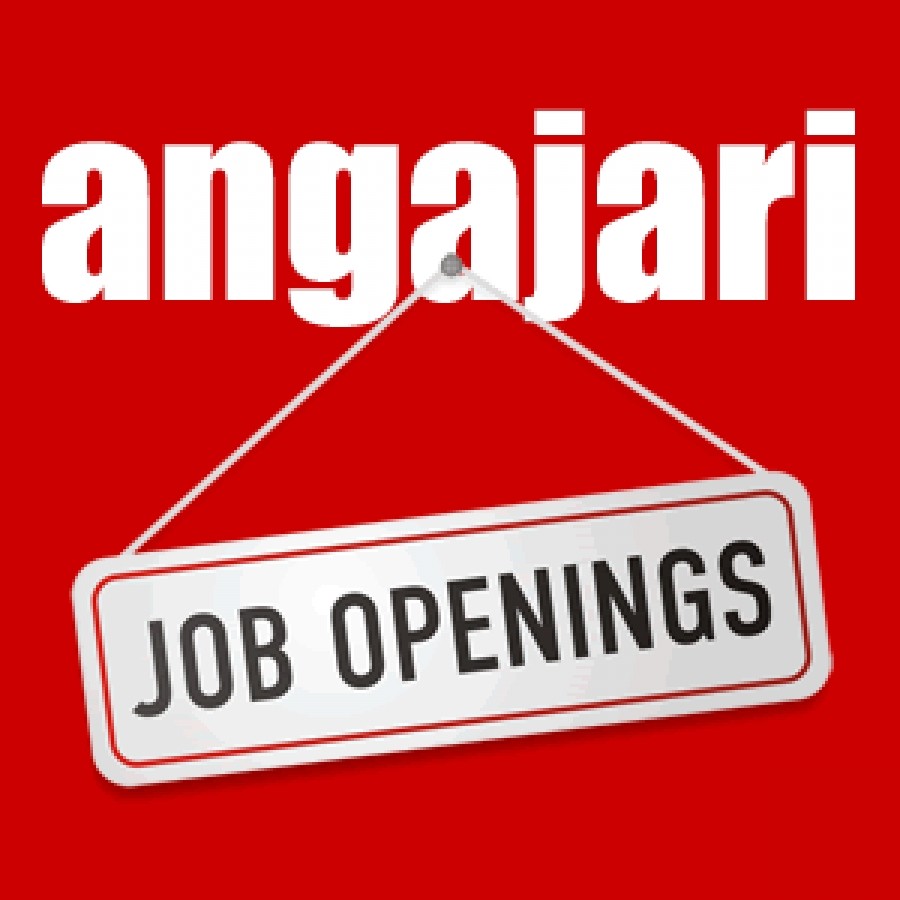 Angajam Sofer Categoria B italia-alba