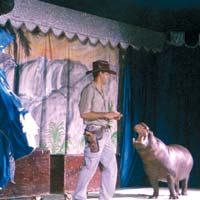 Rechini si crocodili, la Circul acvatic 