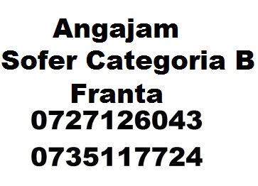 Angajare Sofer Categoria B Franta