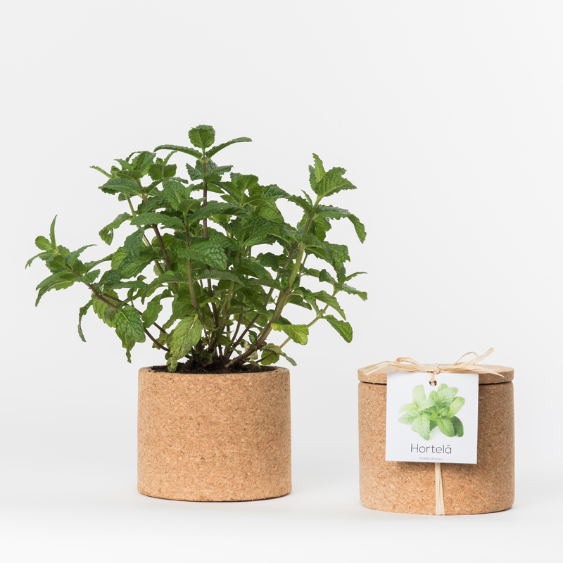 Vas de plante din pluta