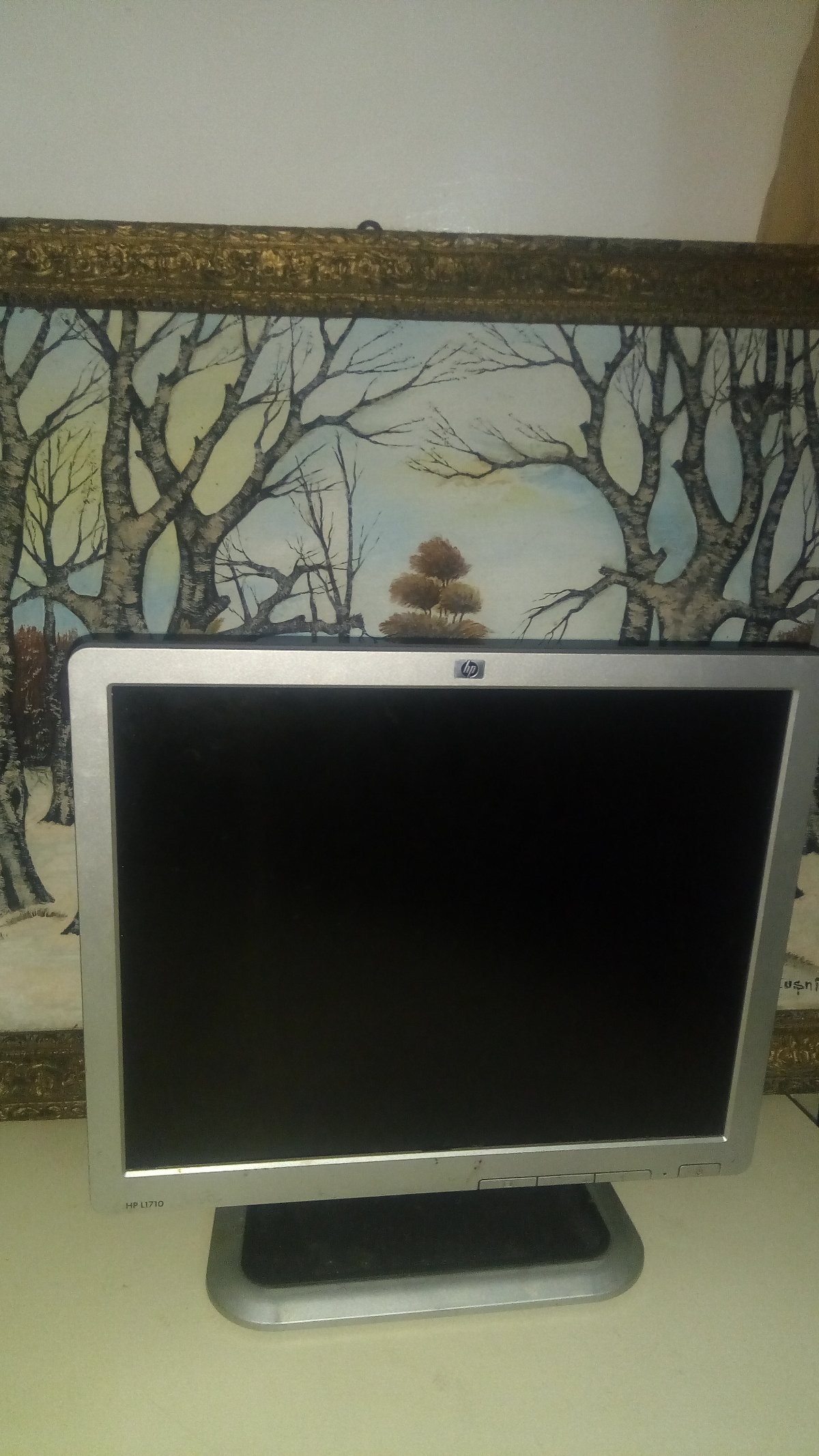 Monitor plat HP calitate