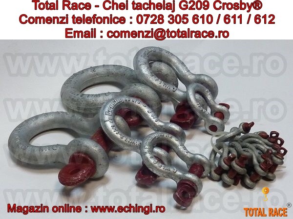 Cheie tachelaj / Gambeti / Shackles G209 Crosby?