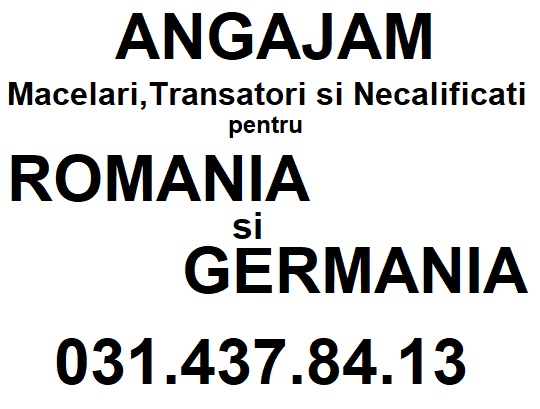 Job Macelari, Necalificati ptr Romania si Germania