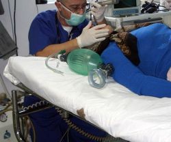 O ieseanca a stabilit un nou record de alcoolemie la femei: 5,47 la mie