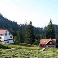 Pretul terenurilor ar putea scadea cu 90%, potrivit companiei de evaluare Darian