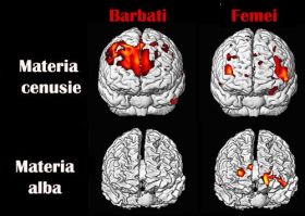 E demonstrat: Barbatii si femeile percep in mod diferit frumusetea