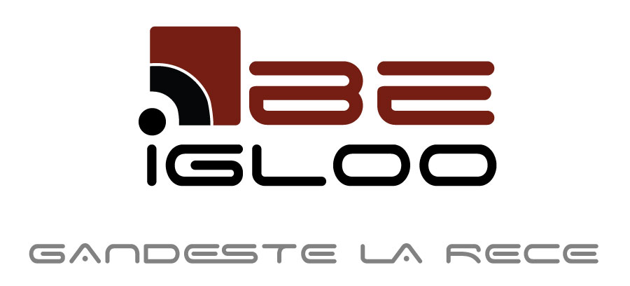 DMI and Romania Invest launched Be Igloo