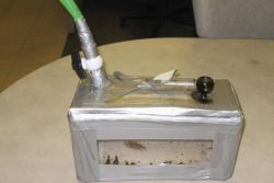 Un american a incercat sa-si fumeze pisica