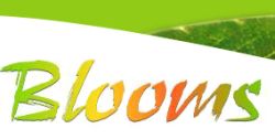 Blooms Beauty - cabinet de estetica faciala
