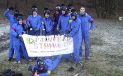 Paintball Strike Club