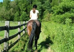 Hipocan Corbeanca - lectii echitatie