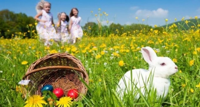 ANM vine cu vesti PROASTE! Cum va fi vremea de Paste si de Florii