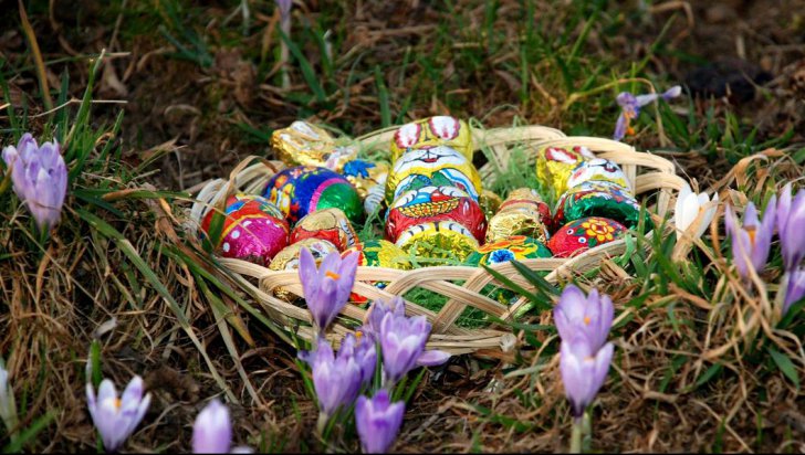 Reacția senatoarei Gabriela Crețu când i se cere să explice vasluienilor de ce o votează