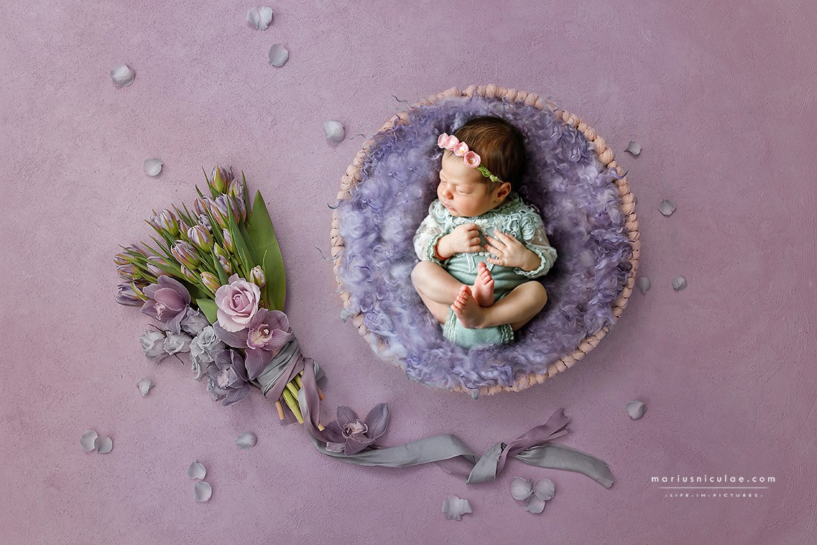 sedinte foto nou nascuti