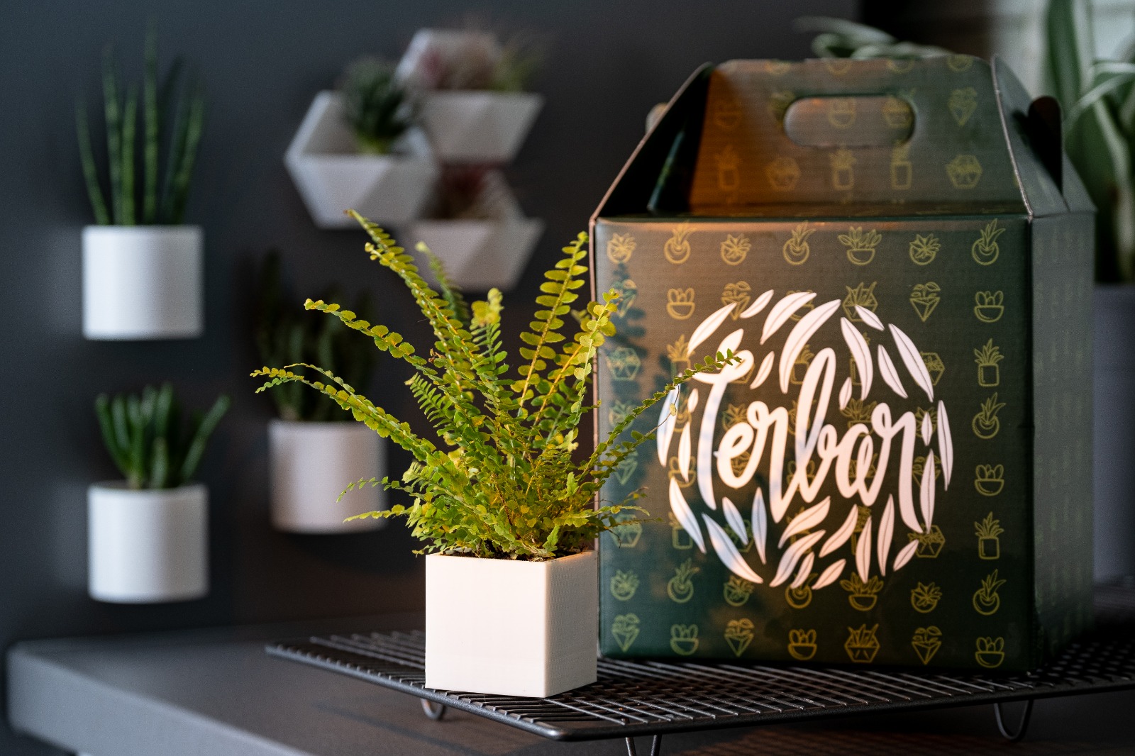 Ghivece magnetice pentru frigider fabricate în România