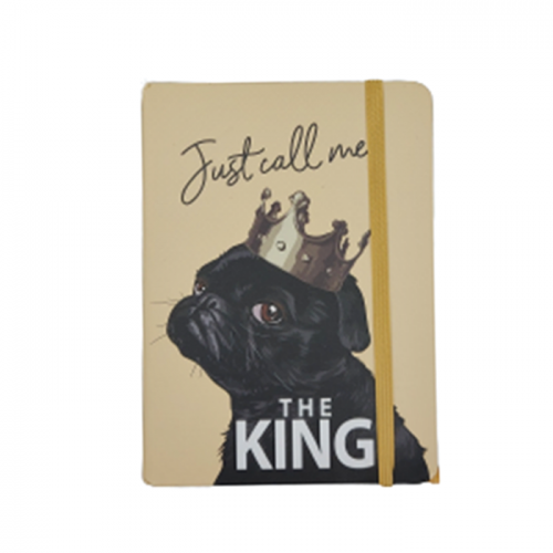 agende si jurnale de la Pravalia cu Surprize