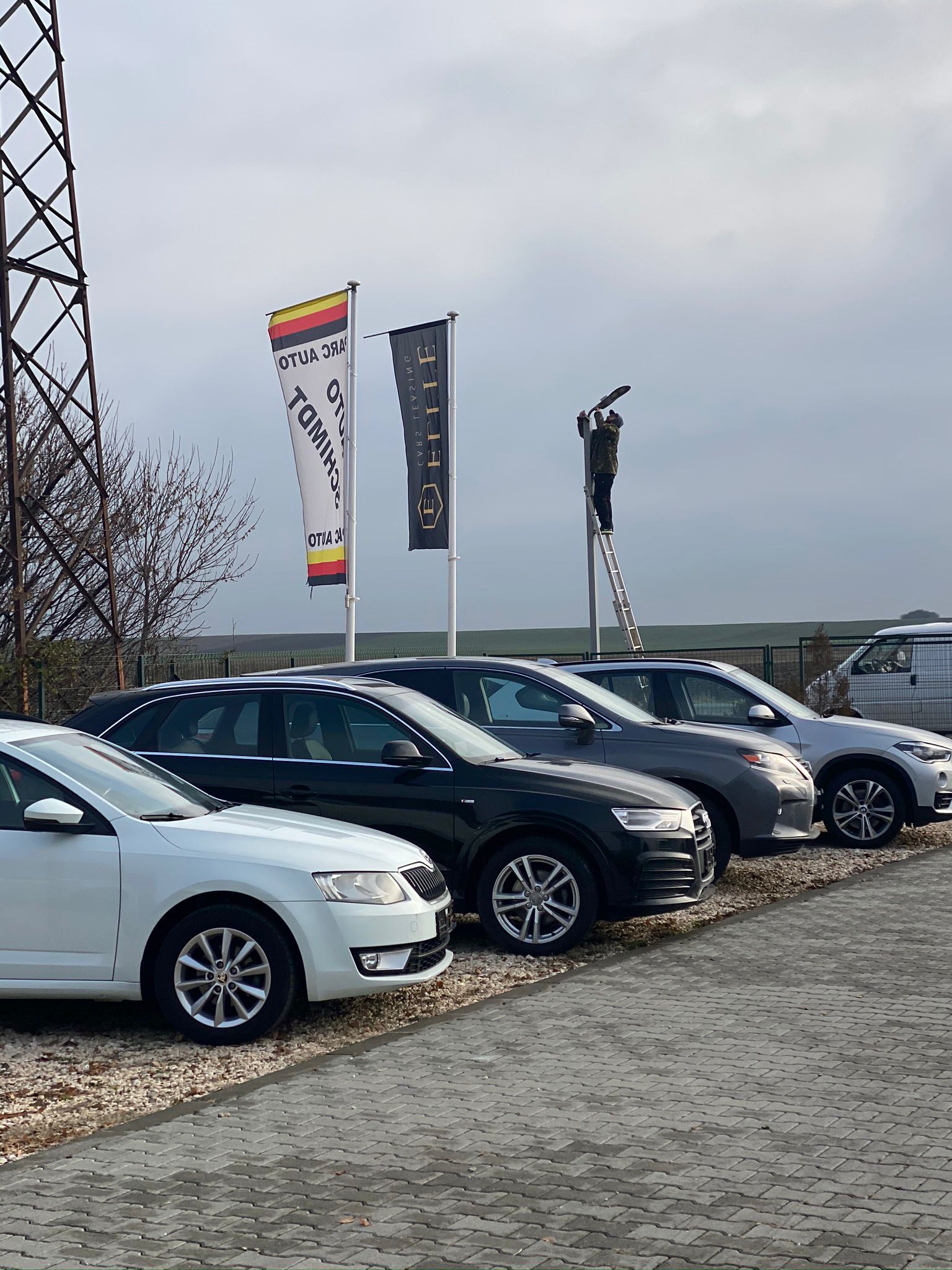 inchirieri auto Buzau