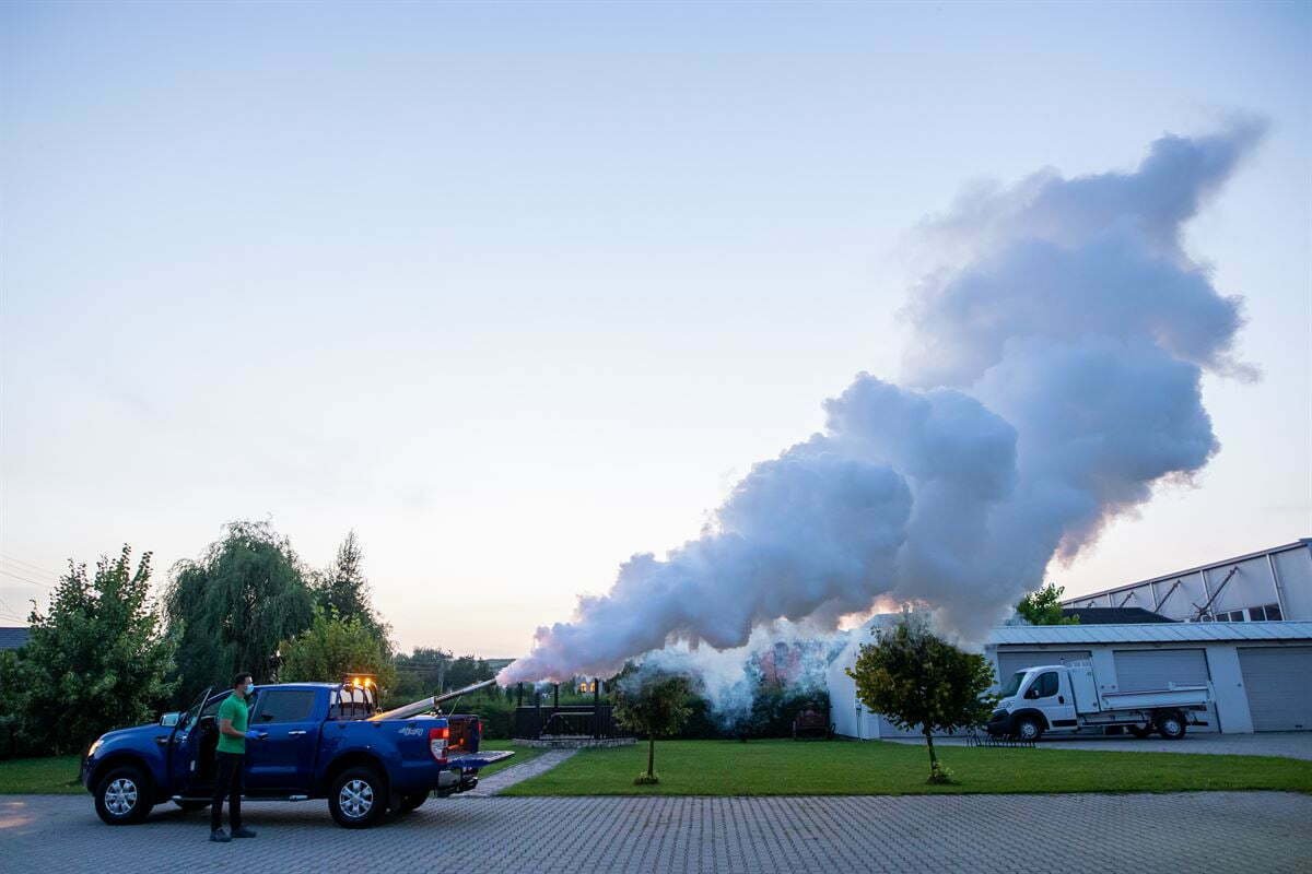 servicii de dezinsectie de la BLA Shine