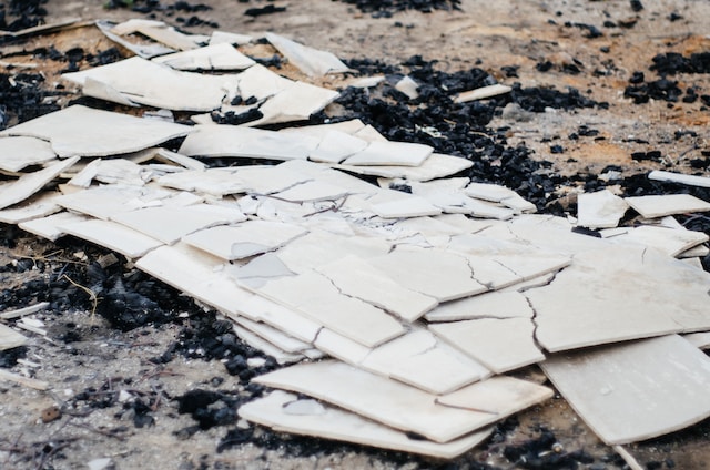 profesionale de transport moloz Bucuresti